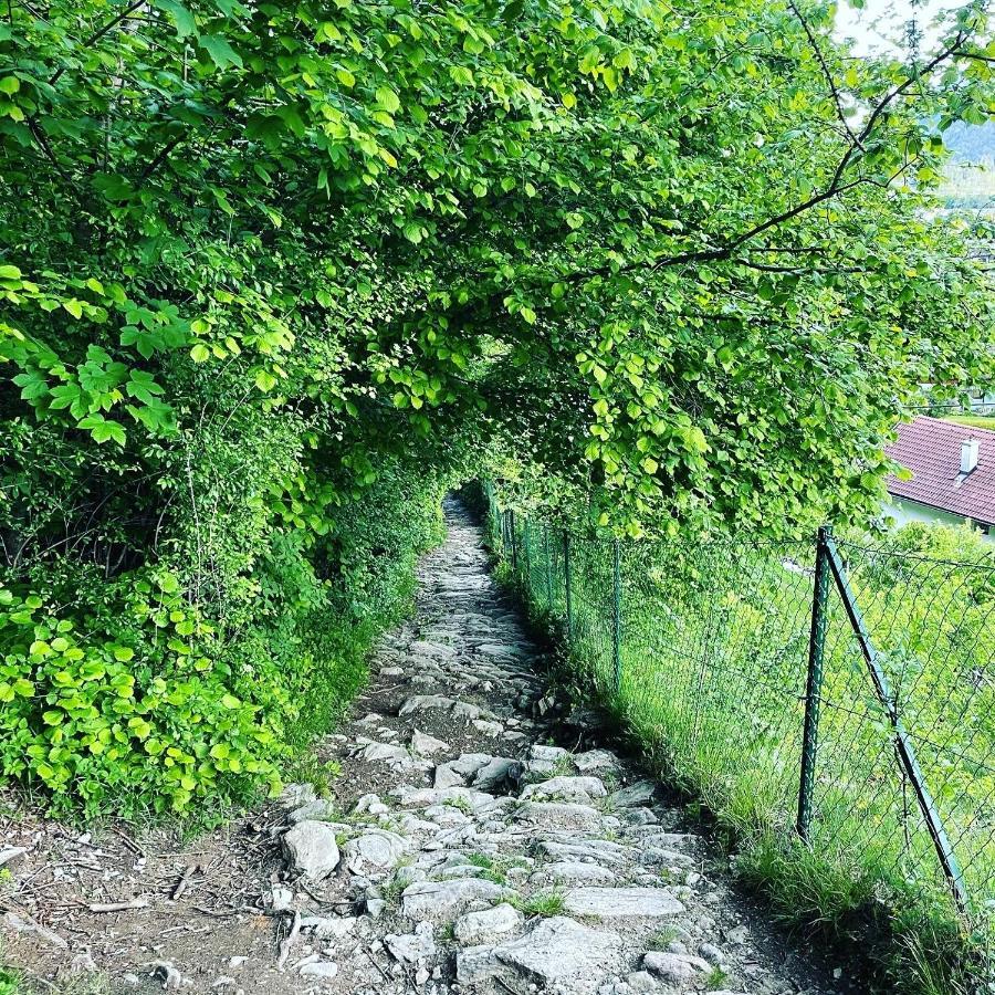 Ferienwohnung Daberer Obervellach Exteriér fotografie